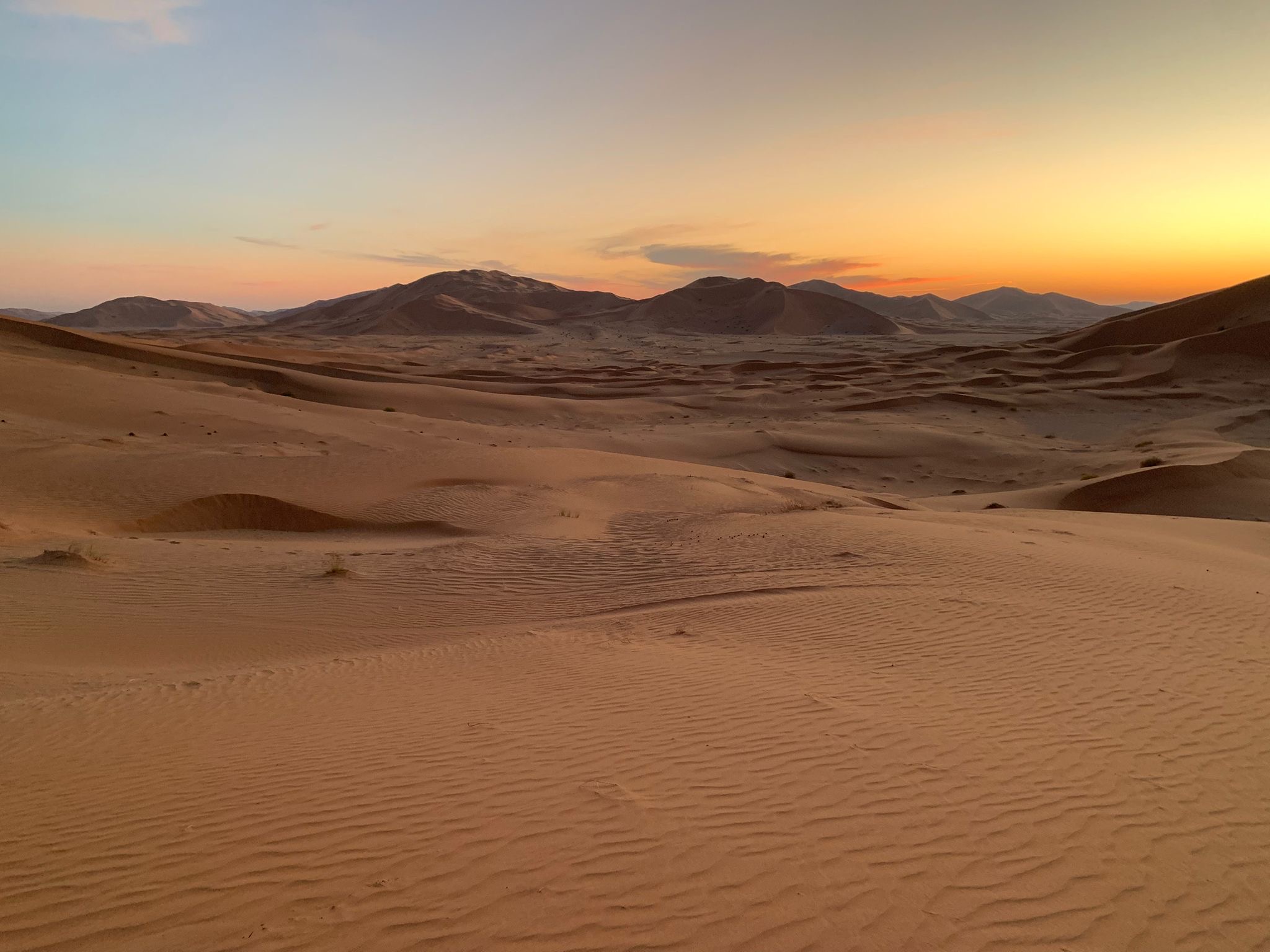 Desert sunrise with long shadows