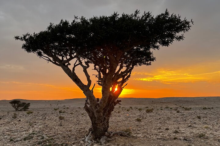 Salalah tur foto