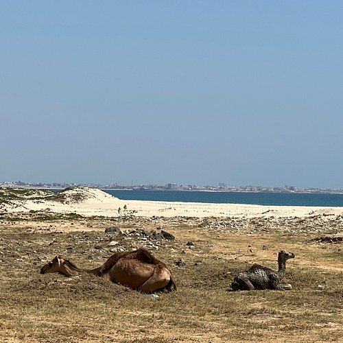 Salalah tour photo